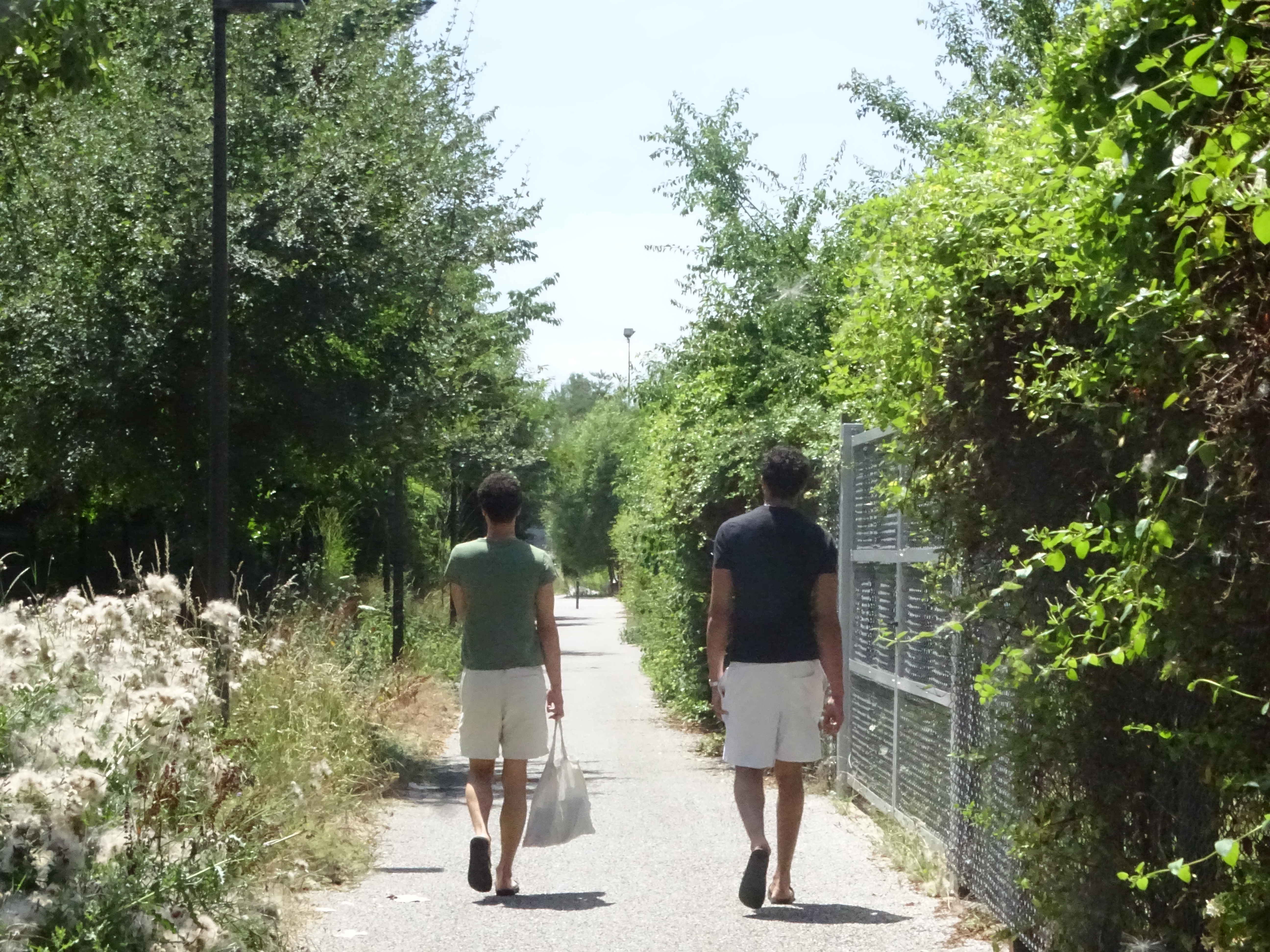 Silhouette sur un chemin de jardin, été