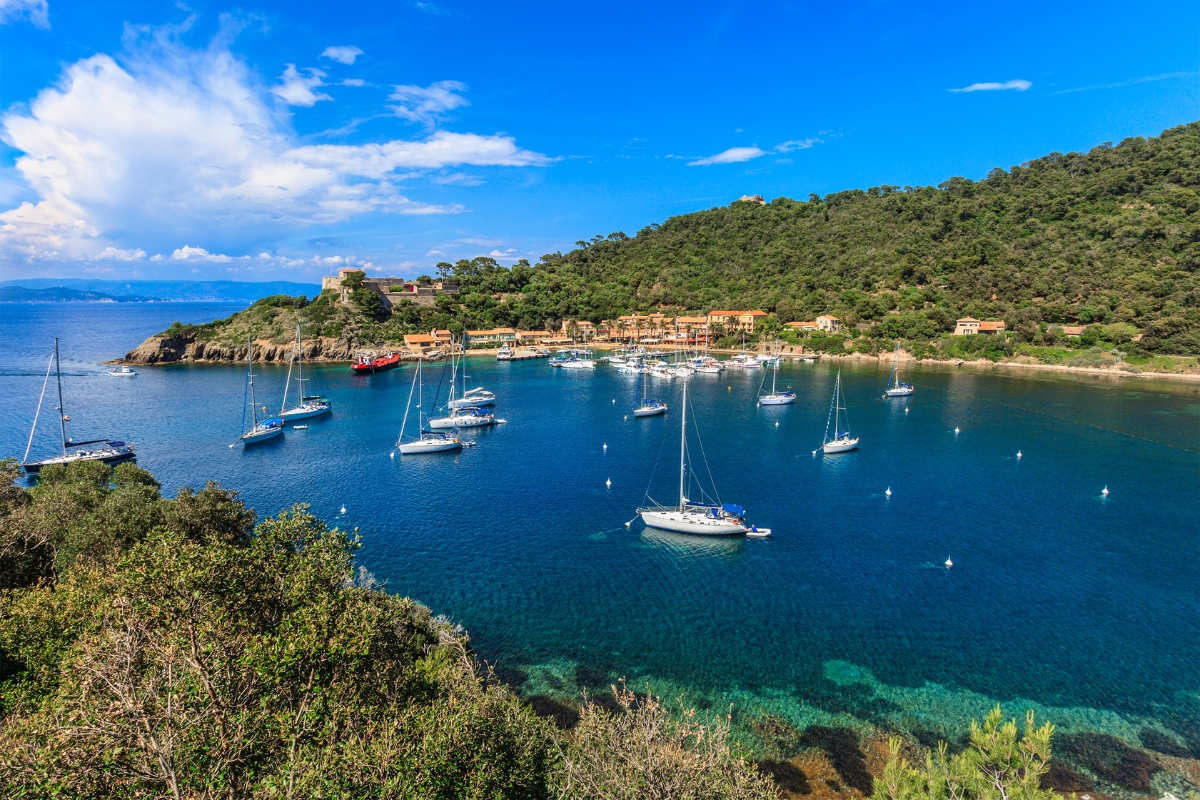 Port et pinède de la presqu'île de Giens / Porquerolles