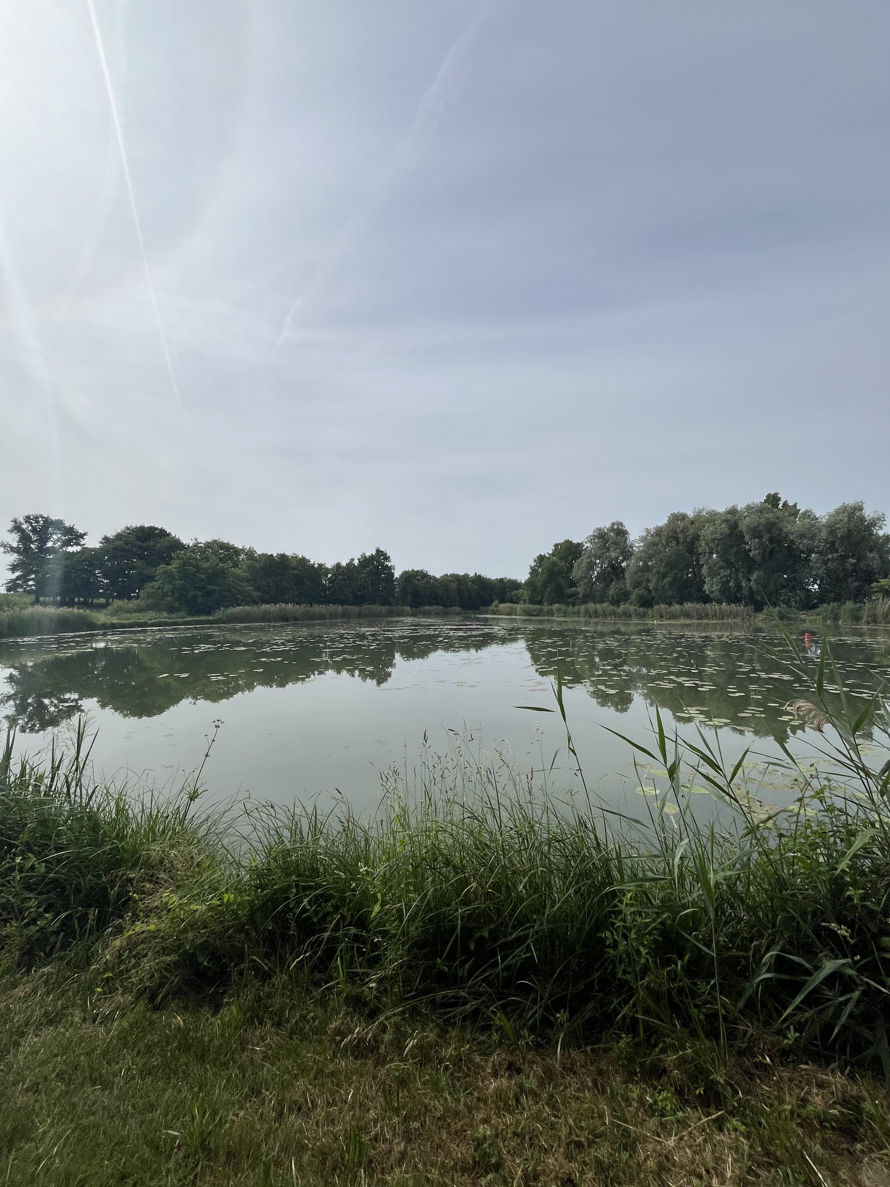 Vue depuis la selle