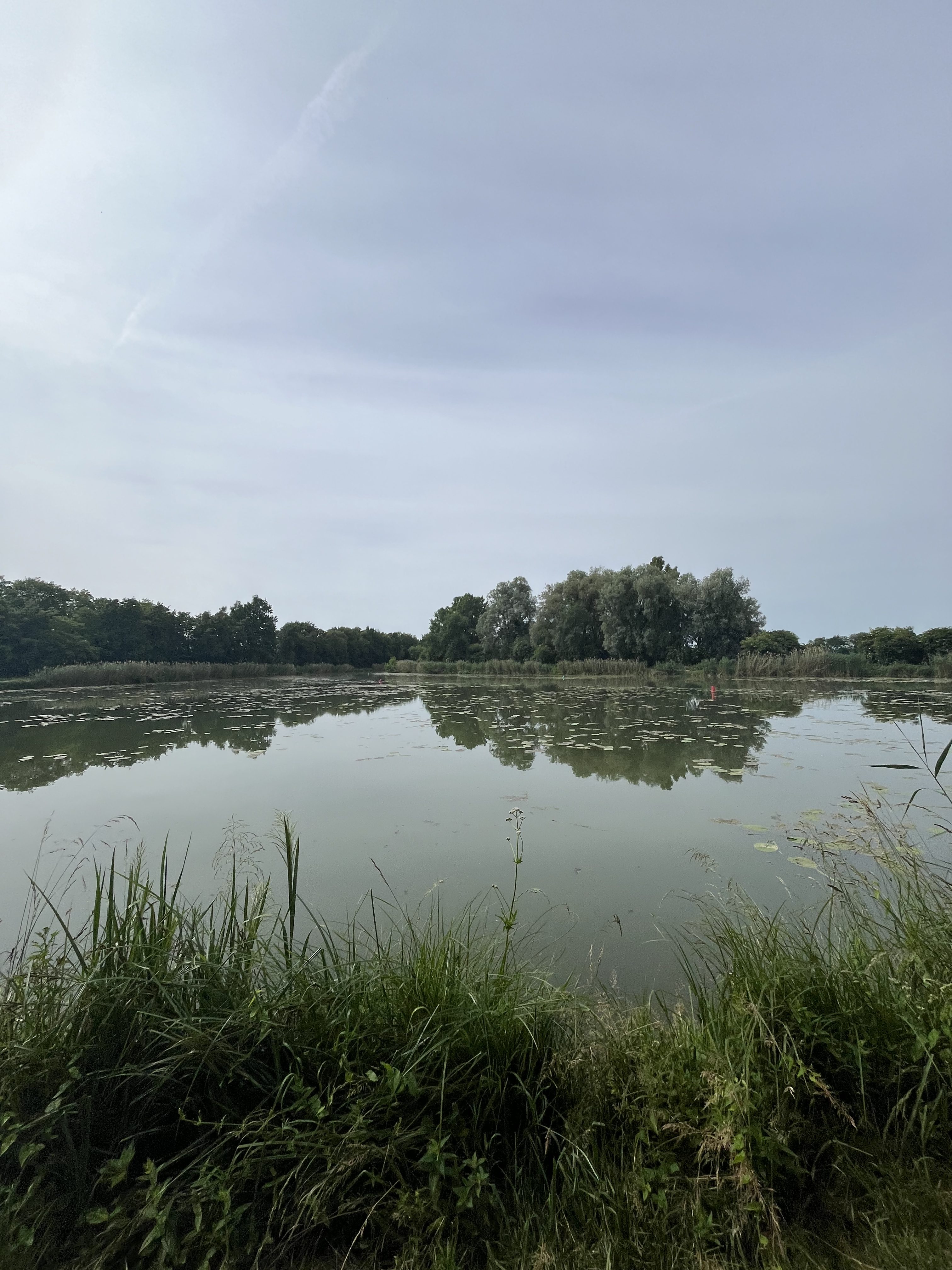 Pause sur la route