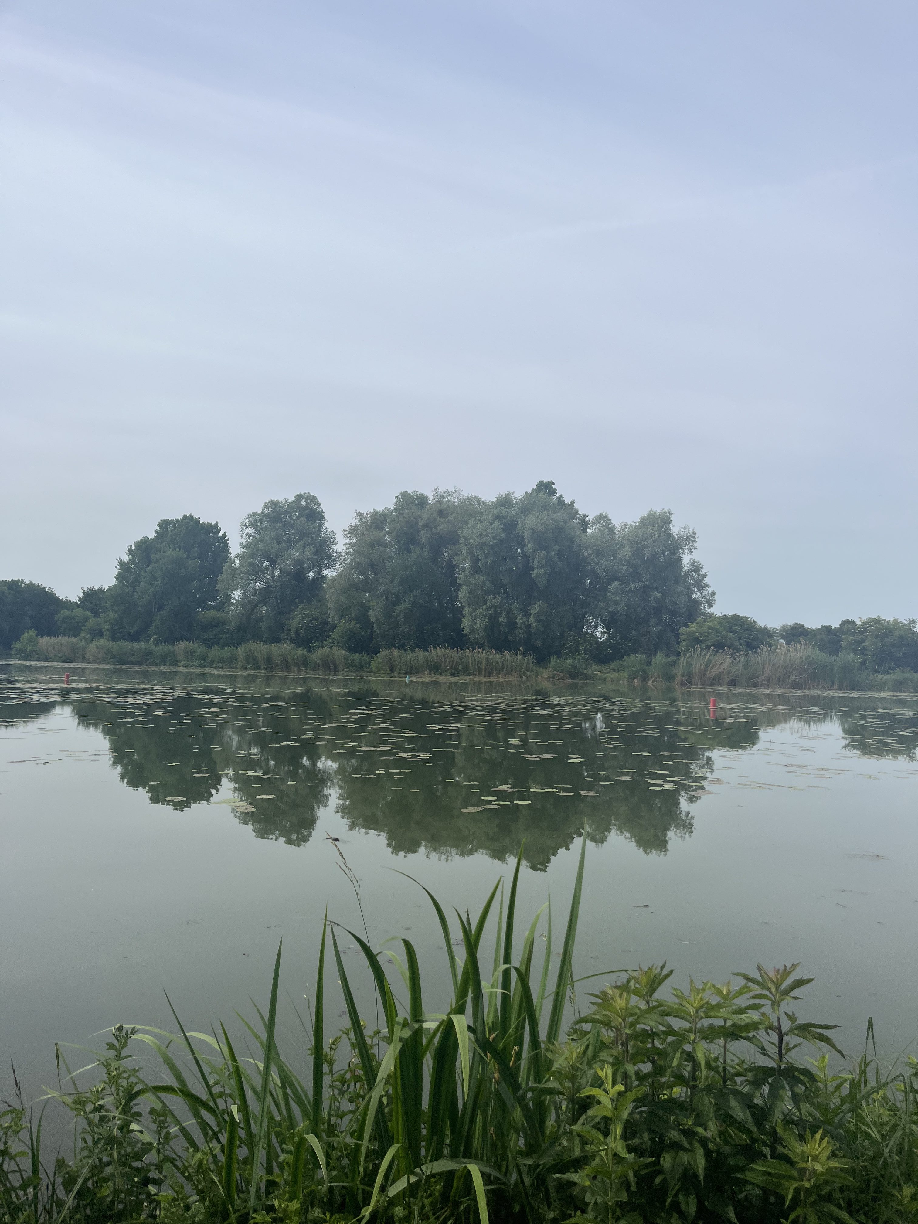Paysage de plaine