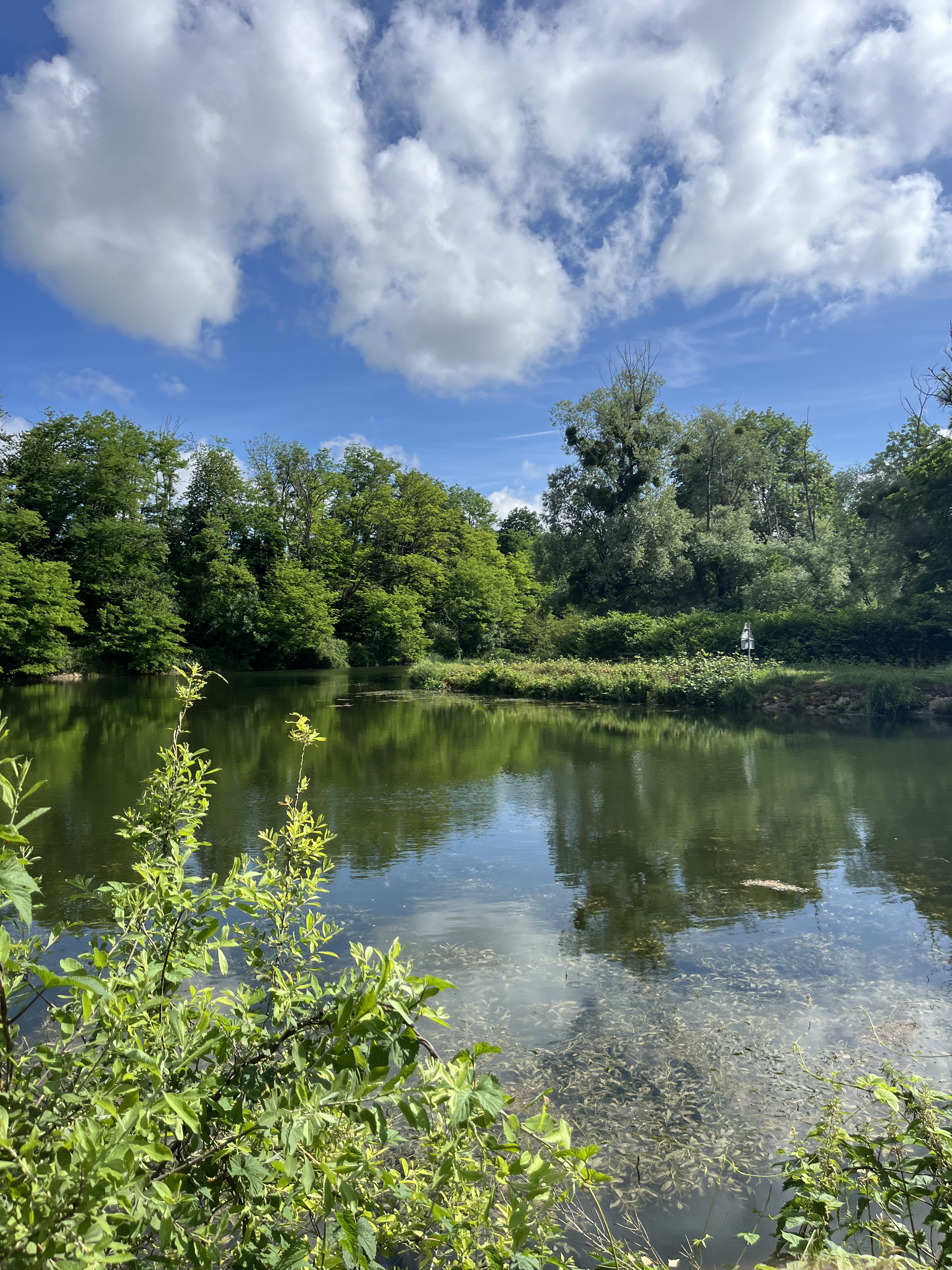 Paysage depuis la selle
