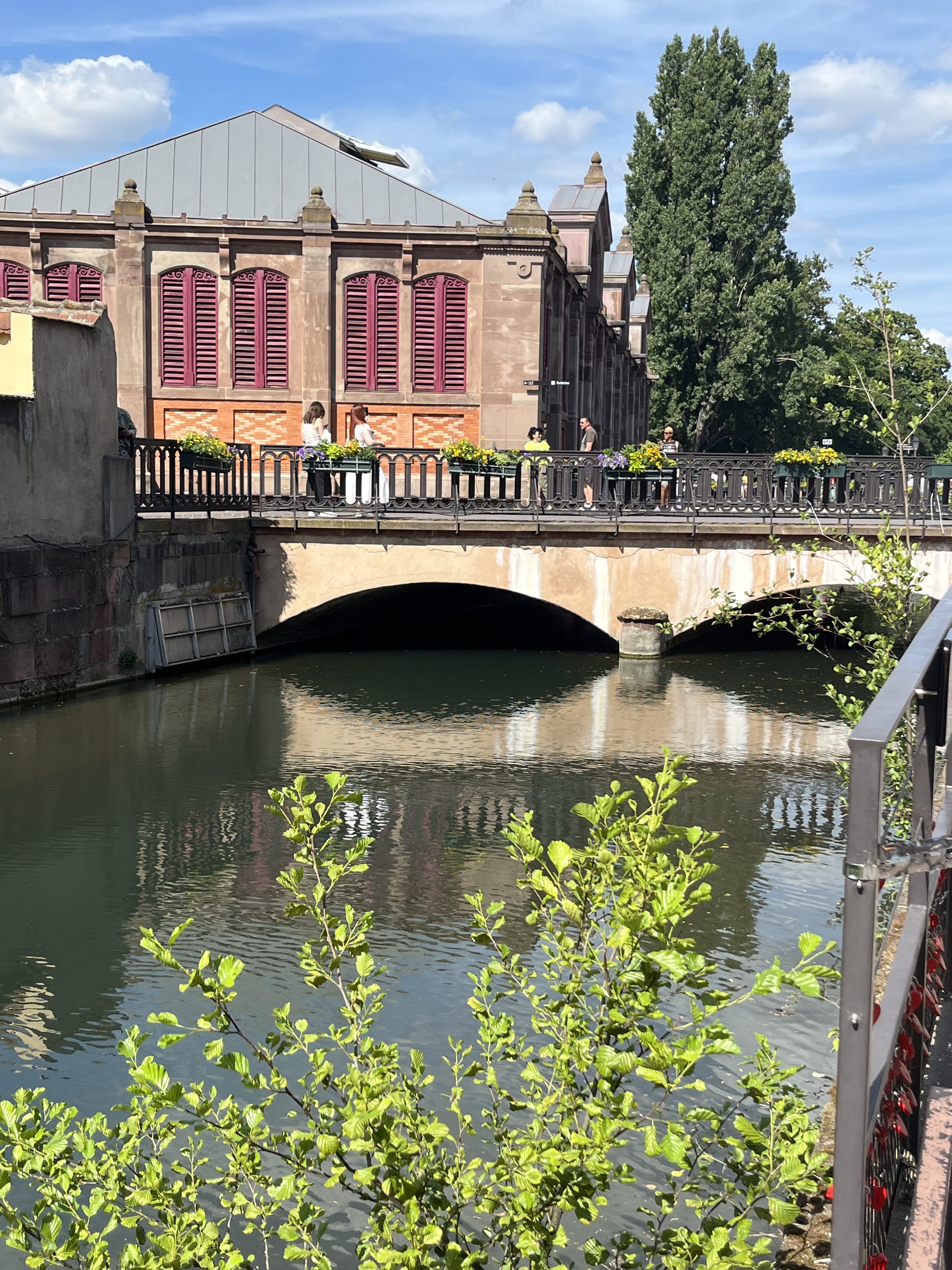 Vue large sur la plaine d'Alsace